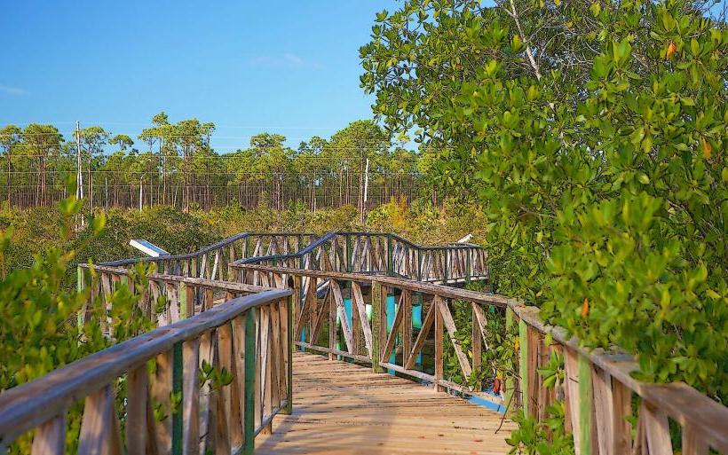 Lucayan National Park