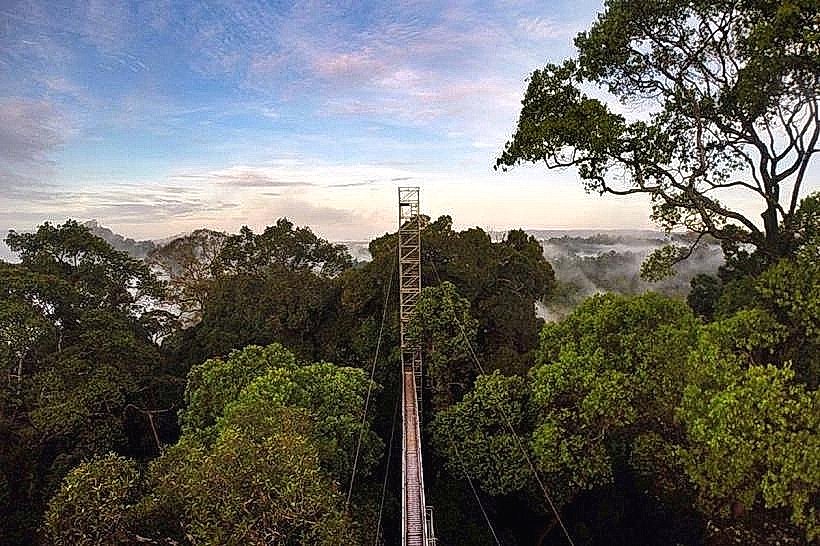 Ulu Temburong National Park