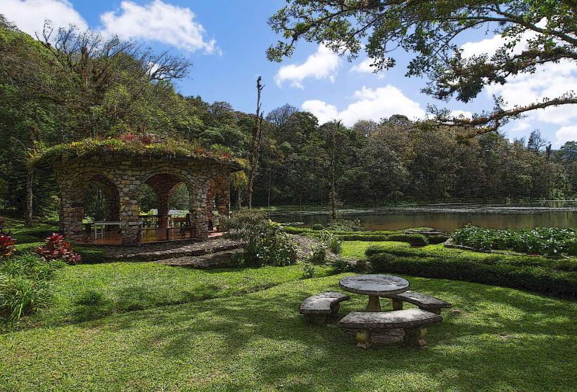 Selva Negra Cloud Forest