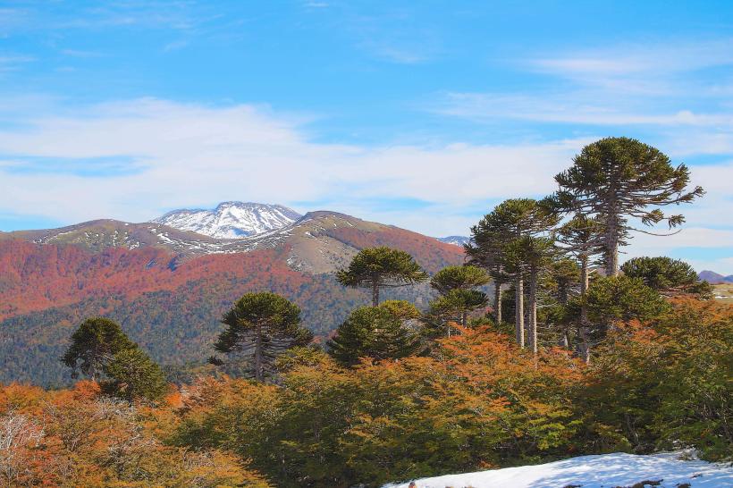 Parque Nacional Ybycuí