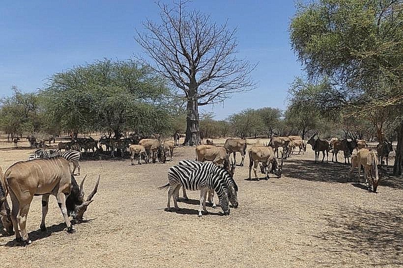 Bandia Wildlife Reserve