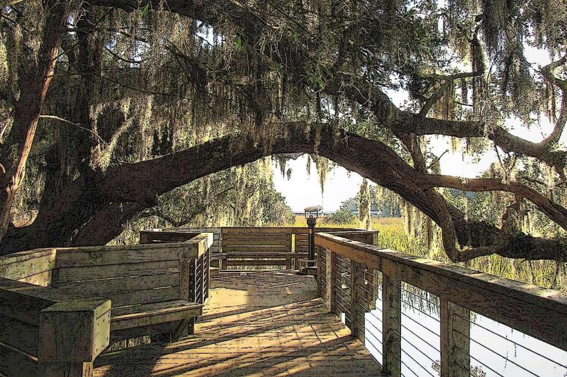 Coastal Discovery Museum