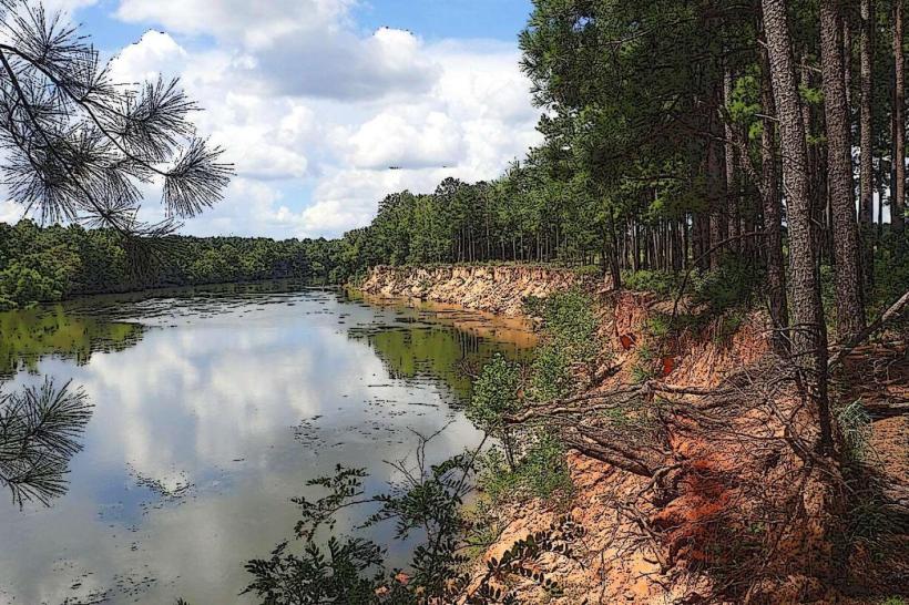 Silver Bluff Audubon Center and Sanctuary