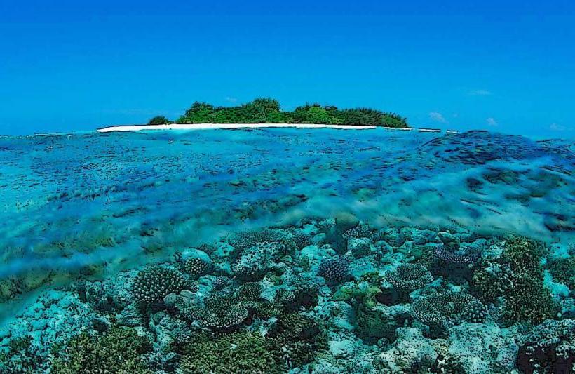Maldives Sothern Reef