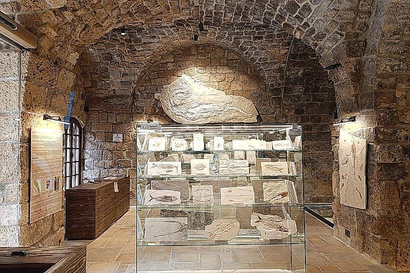 Byblos Fossil Museum