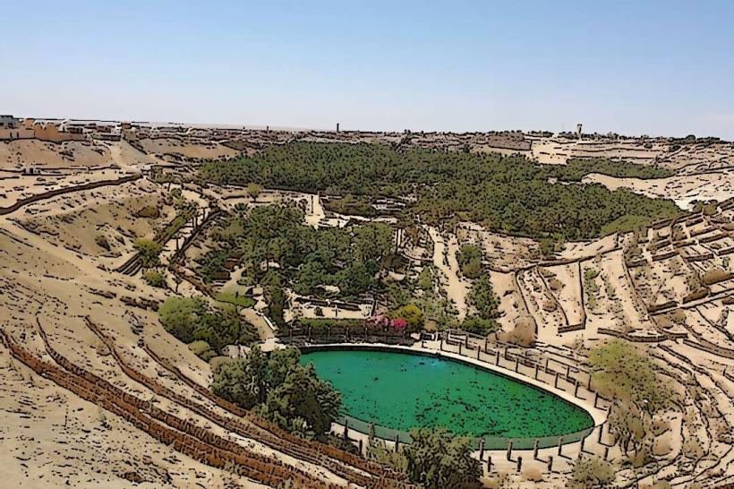 Corbeille Oasis