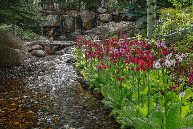 Western Colorado Botanical Gardens