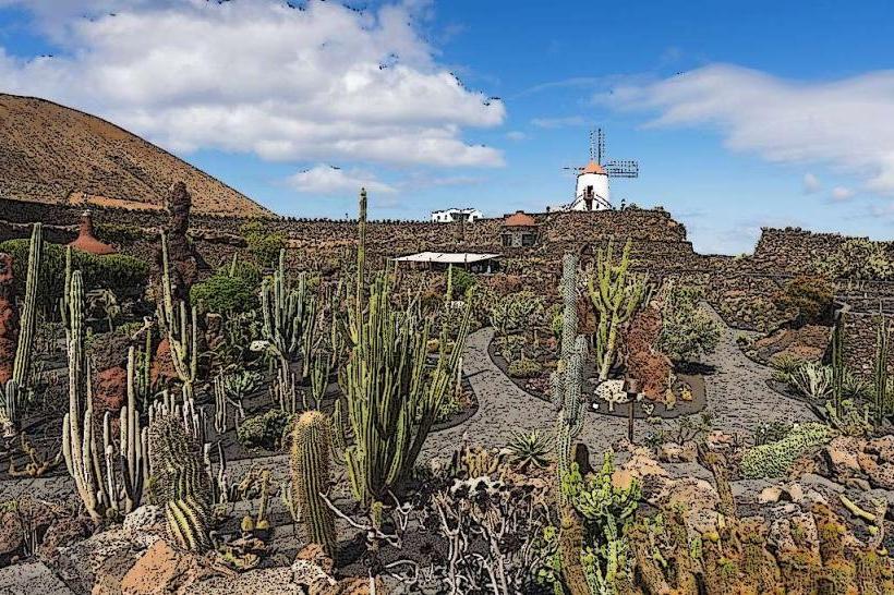 Cactus Garden (Jardín de Cactus)