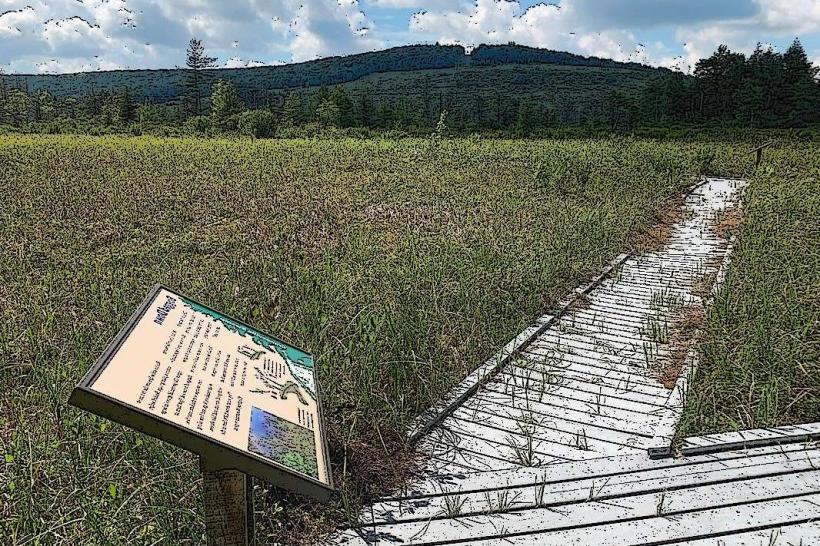 Cranesville Swamp Preserve