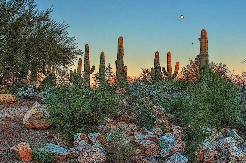 Riparian Preserve at Water Ranch