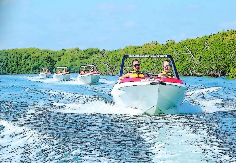 Jungle Tour Adventure