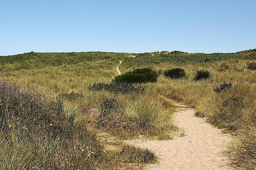 South Beach State Park