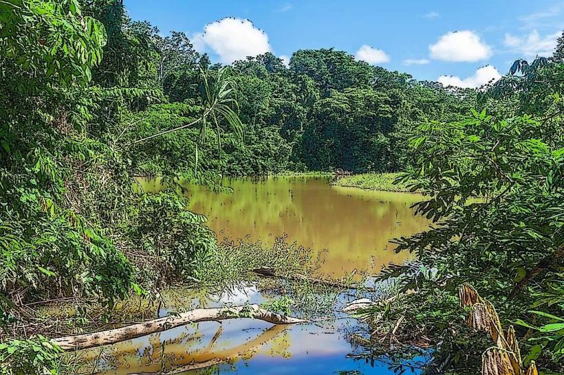 Madidi National Park