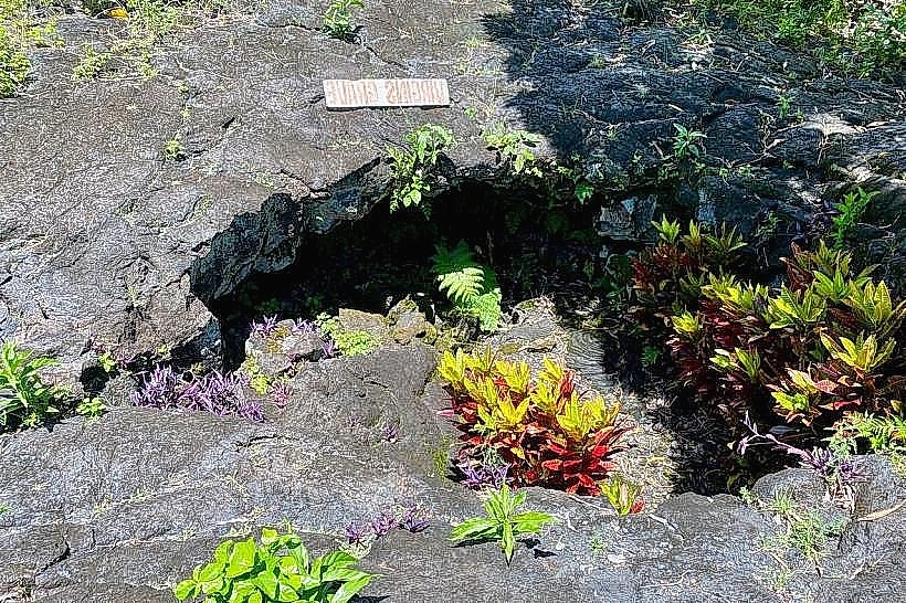 Virgin’s Grave