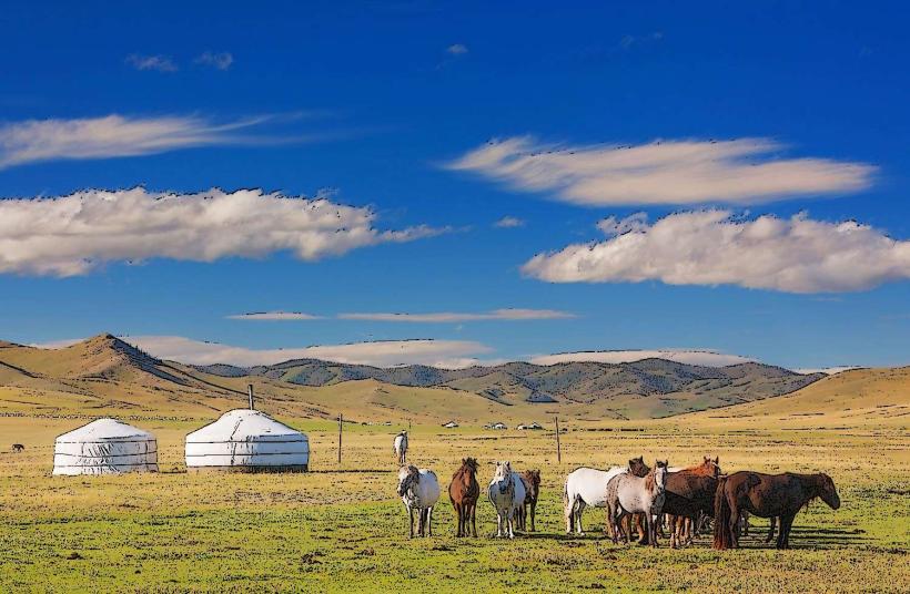 Uncover the Spirit of Mongolia: Where Adventure Meets Ancient Tradition