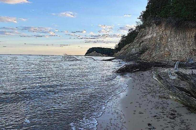 Calvert Cliffs State Park