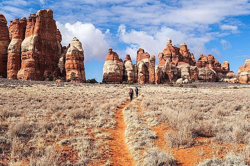 Canyonlands Needles District