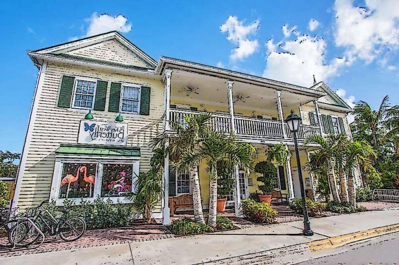 Key West Butterfly and Nature Conservatory