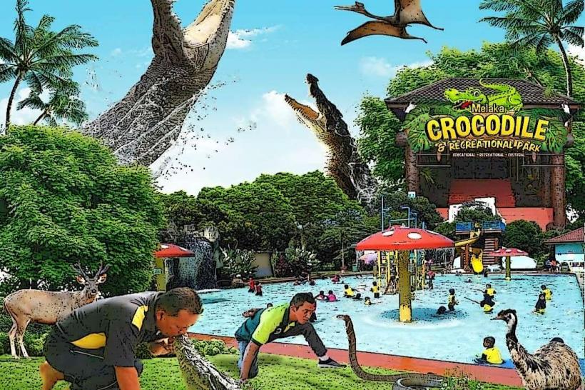 Crocodile Adventureland