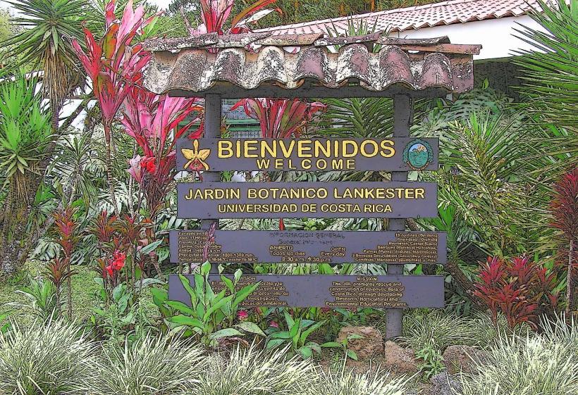 Lankester Botanical Garden