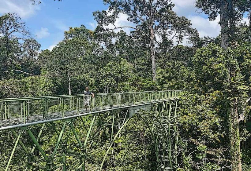 Rainforest Discovery Centre (RDC)