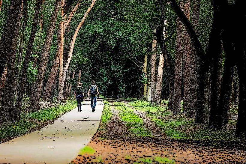 Forest Park of Planken