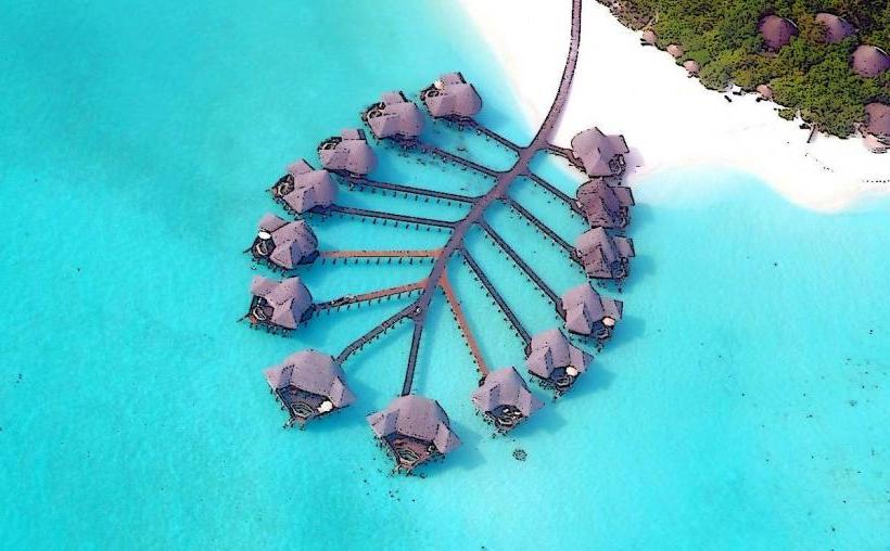 Coco Palm Dhuni Kolhu