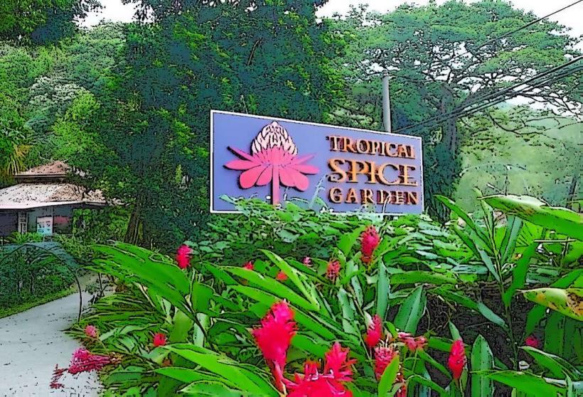 Tropical Spice Garden