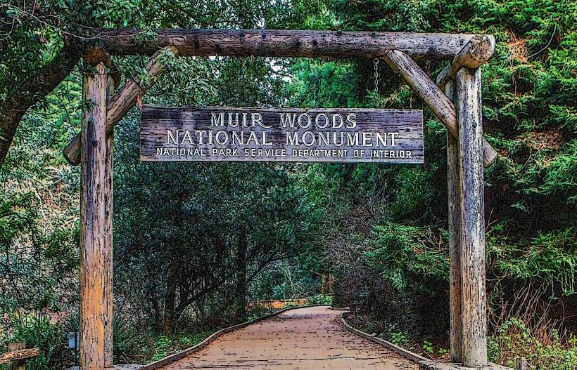 Muir Woods National Monument