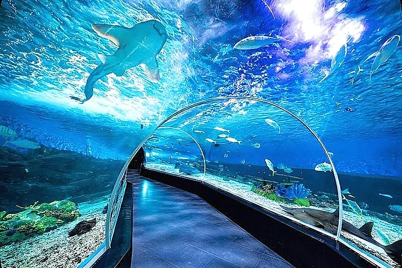 Manila Ocean Park