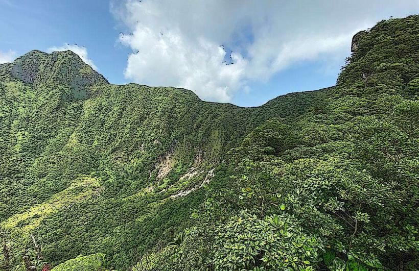 Saint Kitts National Park