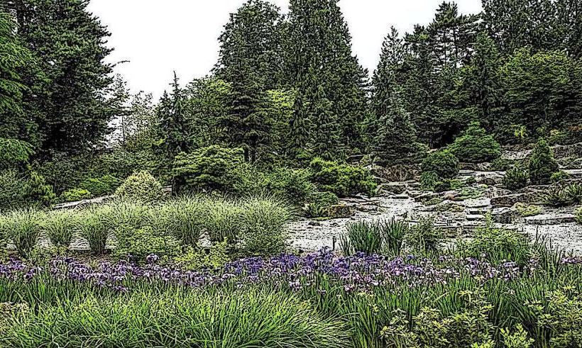 Chișinău Botanical Garden