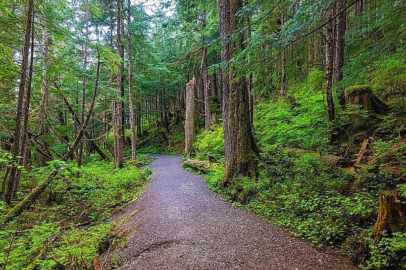 Tongass National Forest Inside Passage