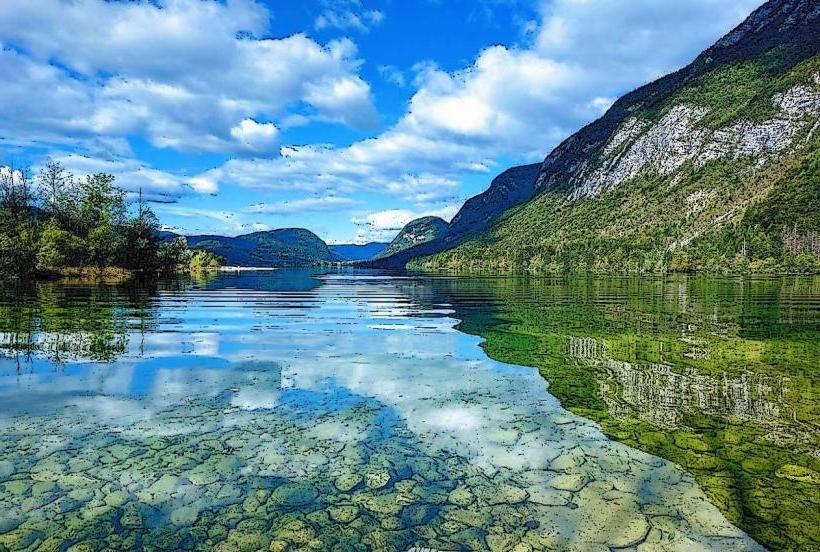 Lake Bohinj
