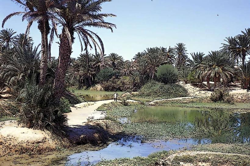 Gabès Oasis