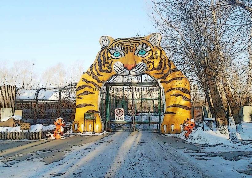 Harbin Siberian Tiger Park