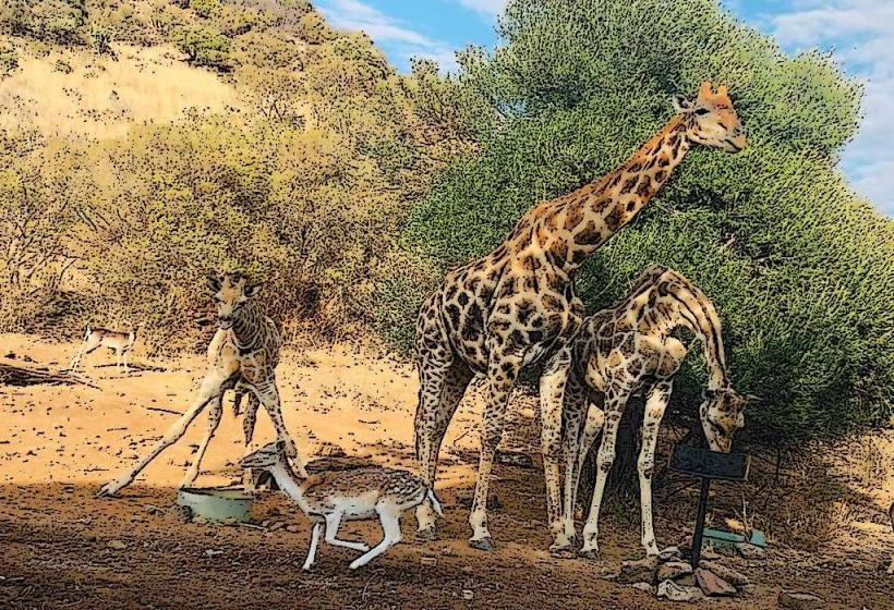 Franklin Game Reserve