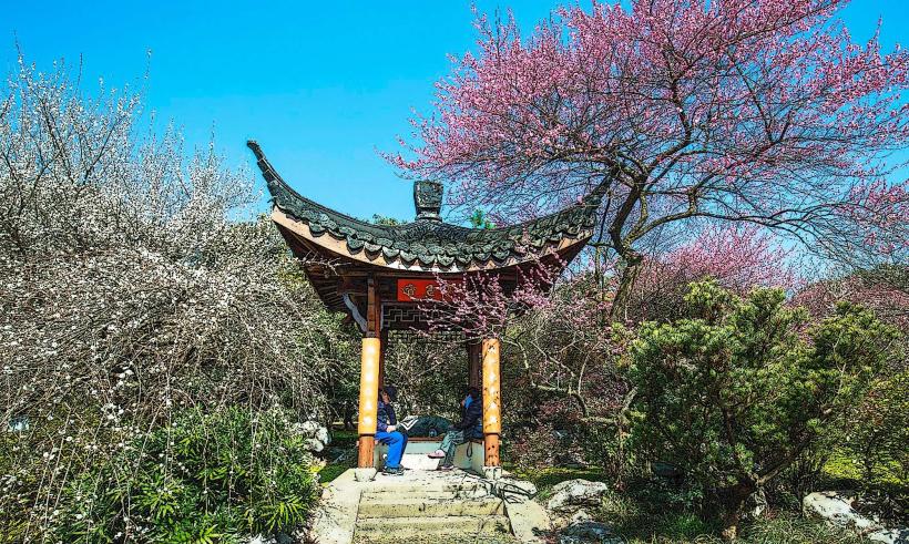 Hangzhou Botanical Garden