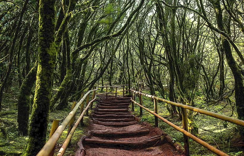 Garajonay National Park