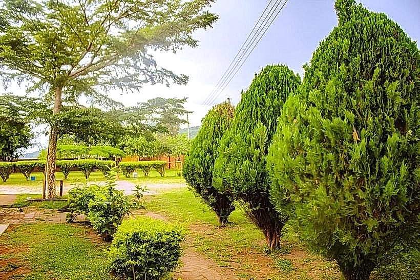 Mzuzu Botanical Gardens