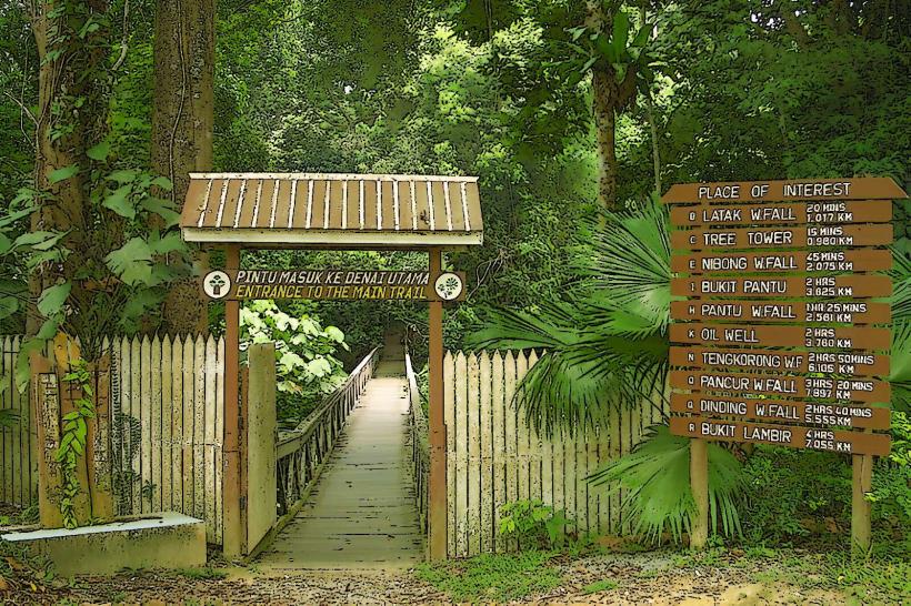 Lambir Hills National Park
