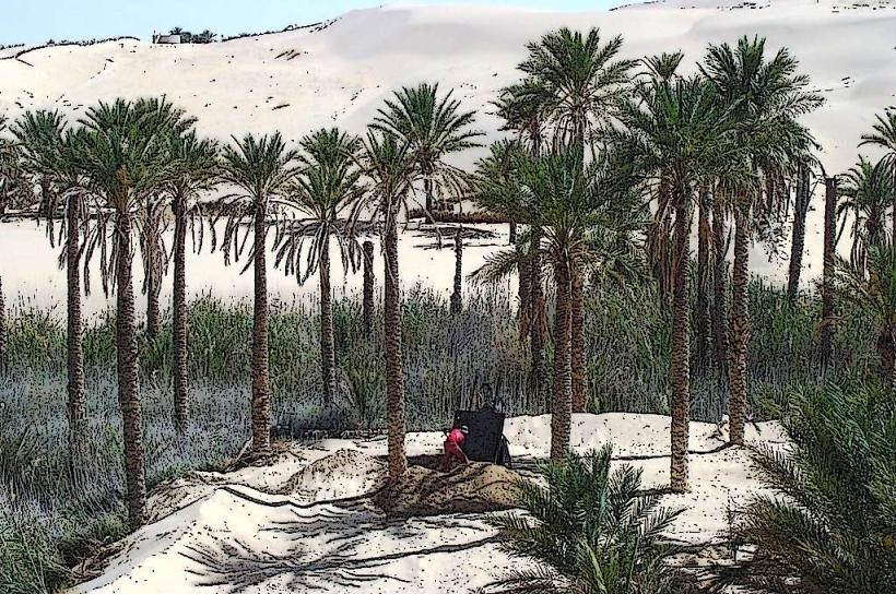 El Oued Oasis