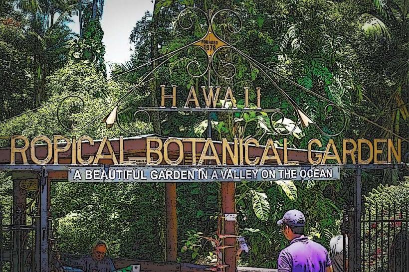 Hawai'i Tropical Botanical Garden