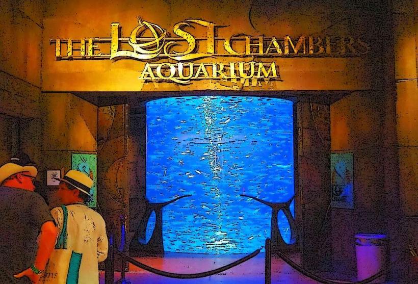 Lost Chambers Aquarium
