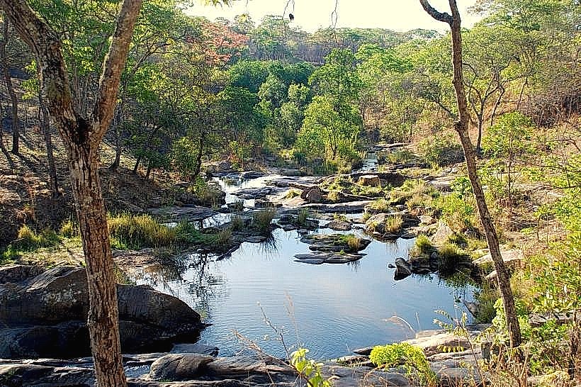 Dzalanyama Forest Reserve
