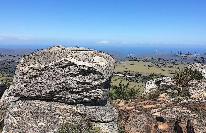 Lady's Slipper Nature Reserve