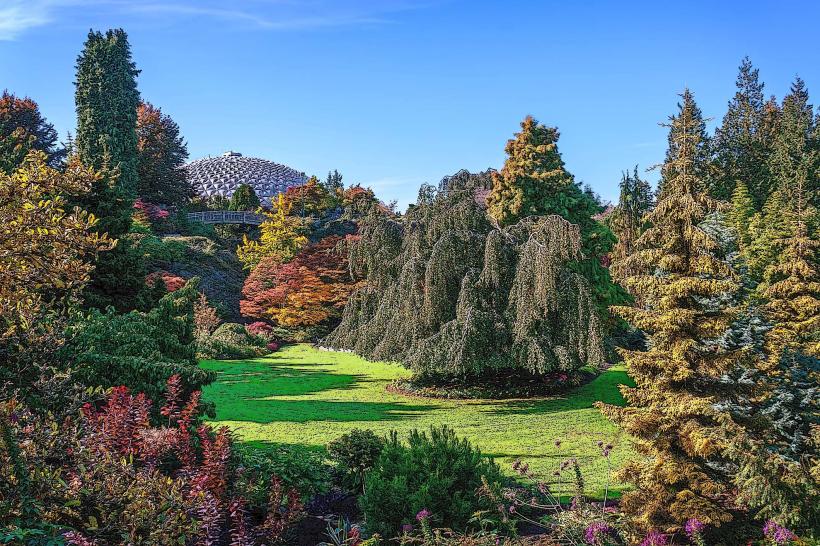 Queen Elizabeth Park