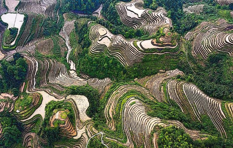 Longji Rice Terraces