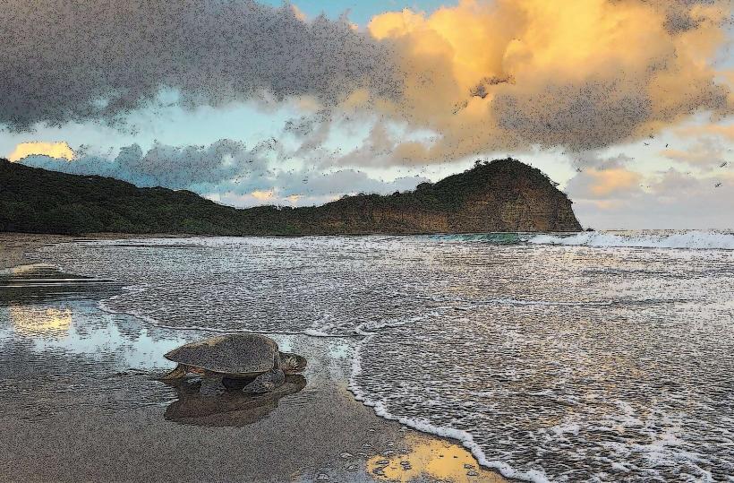 La Flor Wildlife Refuge