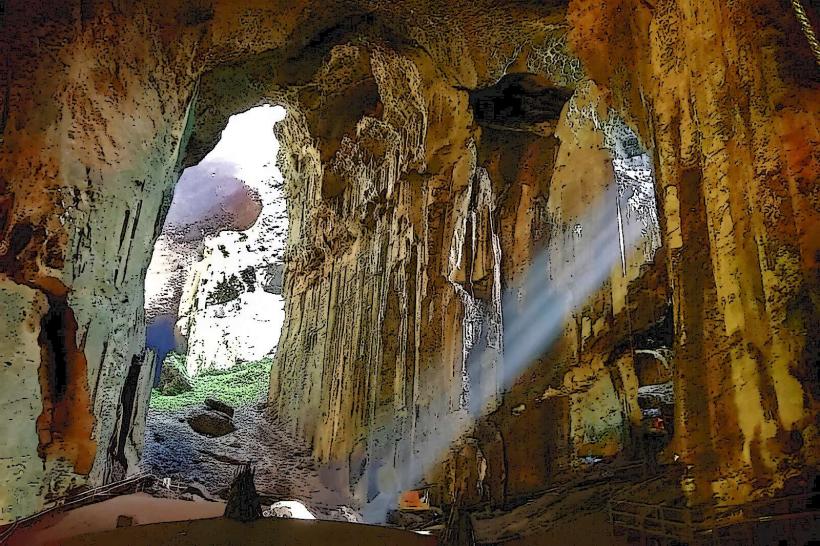 Gomantong Caves